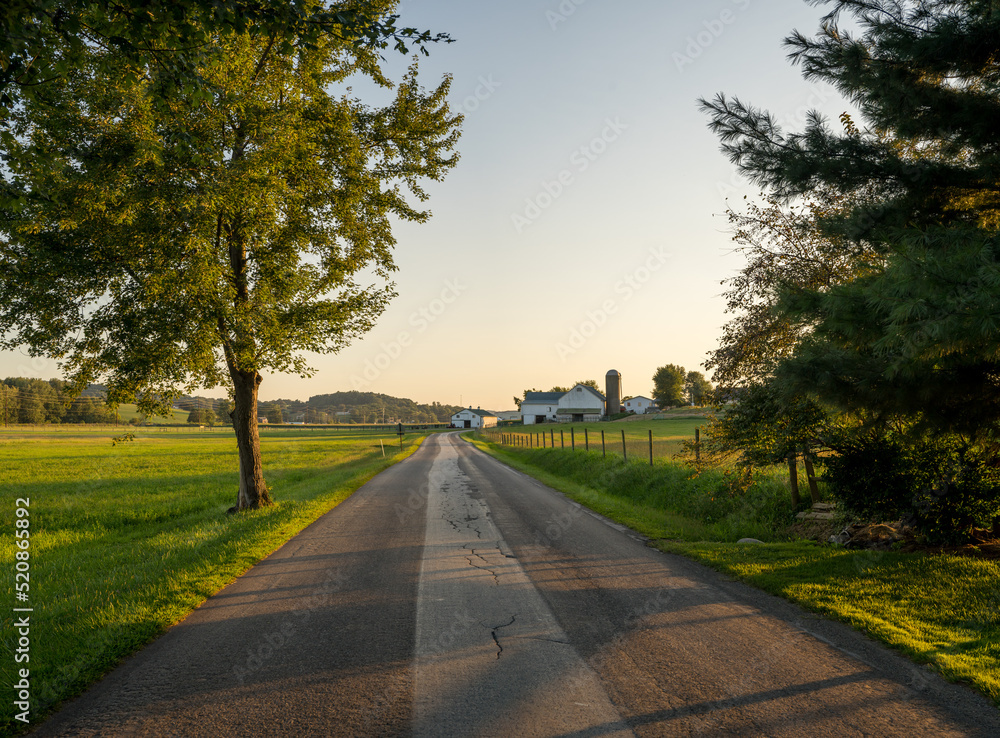 Obraz premium Country road between two trees in the farmland of Amish country, Ohio