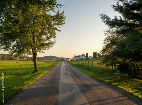 Country road between two trees in the farmland of Amish country, Ohio