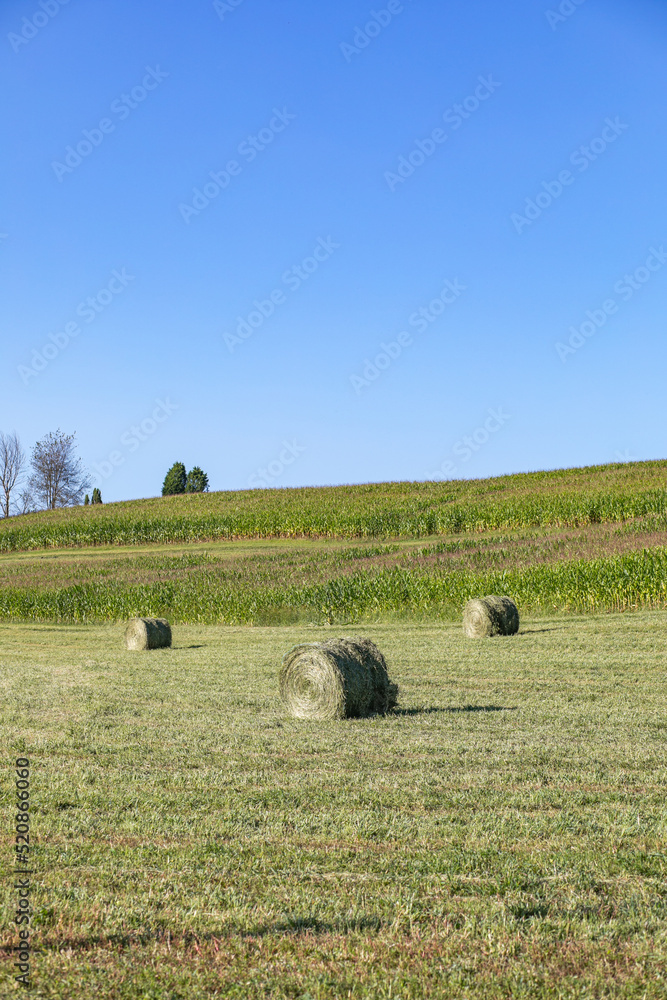 Hay bales and corn fields on a hill in the summer in Amish country, Ohio