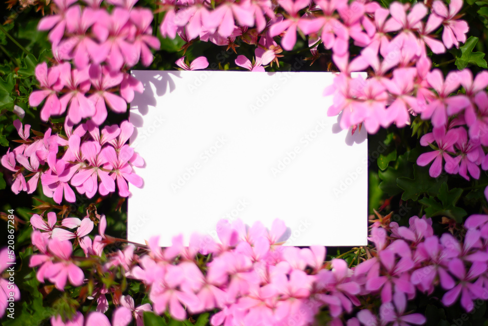 White card on pink flowers background
