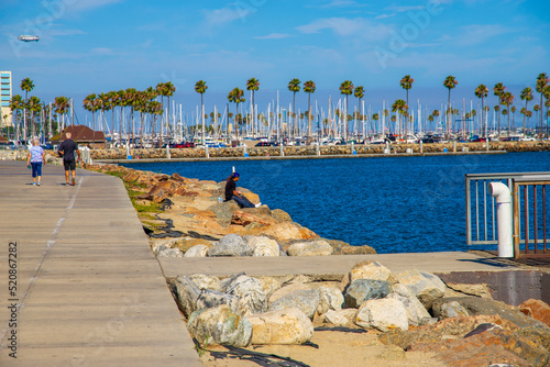 a gorgeous summer landscape in the park along the blue ocean water with people walking and sitting on the rocks with lush green palm trees and blue sky at ShoreLine Aquatic Park in Long Beach photo