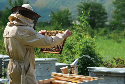 Beekeeper removing honeycomb from beehive. Person in beekeeper suit taking honey from hive. Farmer wearing bee suit working with honeycomb in apiary. Organic farming. Copy-space