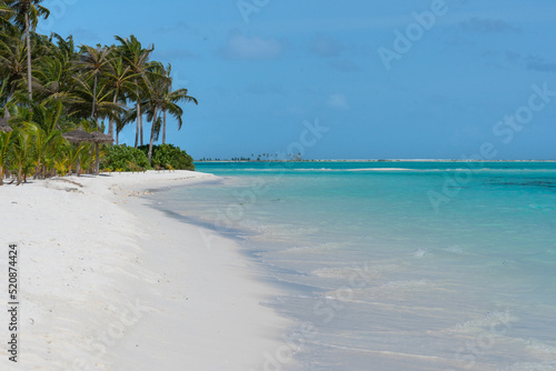 Fototapeta Naklejka Na Ścianę i Meble -  Beautiful Palm Beach with white sand and blue water in Maldives