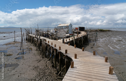 Wooden walkway at low tide with ramshackle hut, Carrasqueira. Portugal.
