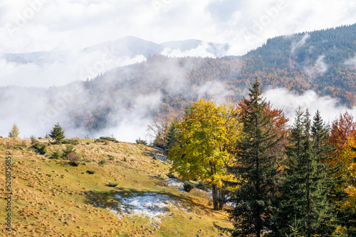 Epic autumn landscape with yellow trees in mountains with first snow. Beautiful nature in autumn Carpathians, Ukraine