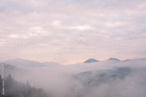 Misty morning in the Carpathian mountains in autumn. White fog over the dreamy mountain range  covered with green forest