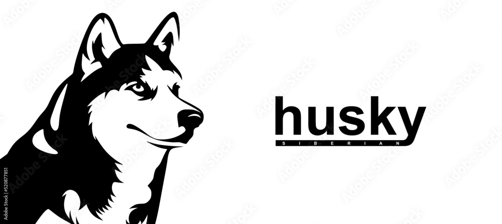 Husky banner template. Siberian Husky head on white background. Husky