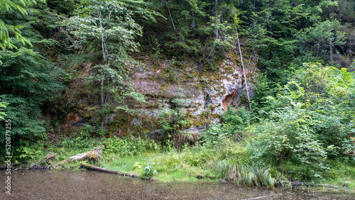 Mirror cliffs and an old river channel in a very beautiful forest in Cirulu nature trails, Latvia. photo