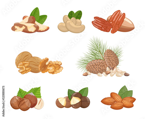 Fototapeta Naklejka Na Ścianę i Meble -  Nuts assortment: walnuts, almonds, hazelnut and other, healthy snack. Banner, vector illustration isolated on white background