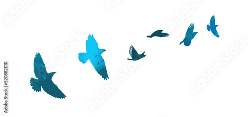 Bird watercolor. A flock of colorful birds. Mixed media. Vector illustration