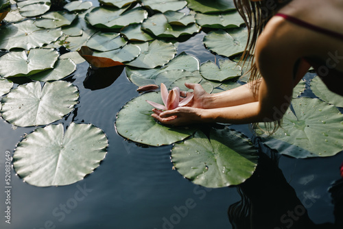 Woman's hand touched a beautiful white water lily blooming on the river