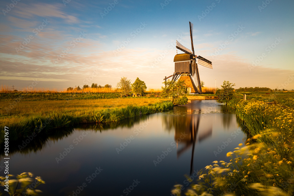 Fototapeta premium dutch windmill broekmolen at sunrise. Kinderdijk - Unesco.