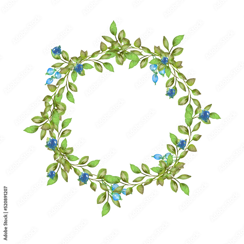 Watercolor illustration, round frame, green branch, eucalyptus sprig, algae, plant, grass frame, wreath