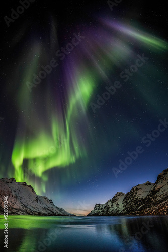 aurora borealis above the mountains
