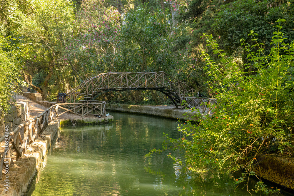 Fototapeta premium The Rodini park in Rhodes island, Greece, Europe.