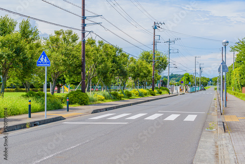 【交通標識】横断歩道、横断歩道指示標識