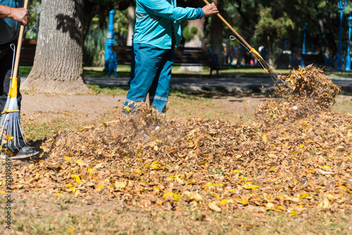 workers sweeping fallen leaves from a square in autumn