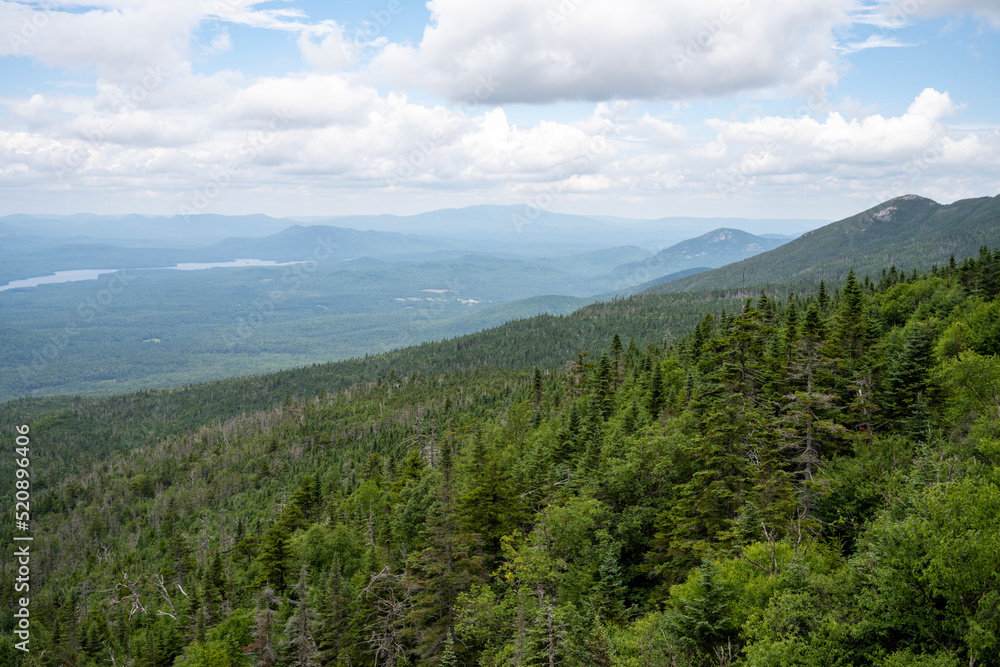 Forest on top of the Whiteface mountain
