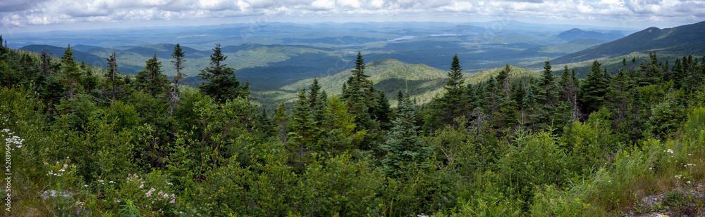 Panoramic view of the forest taken from the summit of Whiteface in the Adirondacks mountains 