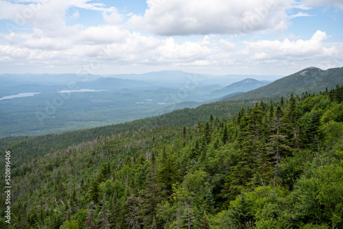 Forest on top of the Whiteface mountain
