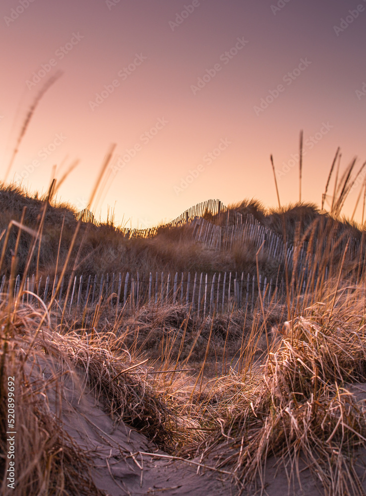 Fototapeta premium Beach Sunset
