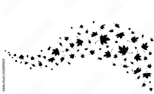 Maple leaves. Autumn background with flying and falling maple leaves. Template for wave autumn pattern with an empty space for text. Isolated black silhouette. Vector illustration