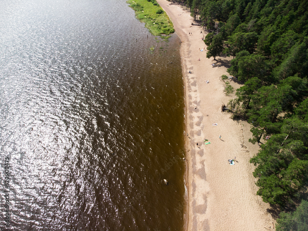Gulf of Finland beach aerial view.Karelian isthmus on the shore of the bay