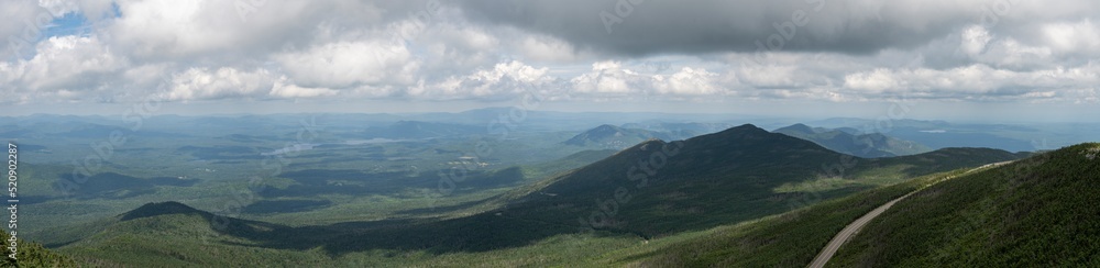 Panoramic view of the forest at 4300 feet elevation on top of Whiteface Mountain