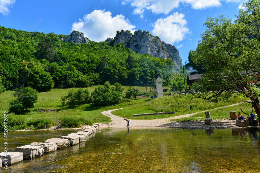 Fototapeta premium Naturpark Obere Donau bei Fridingen an der Donau