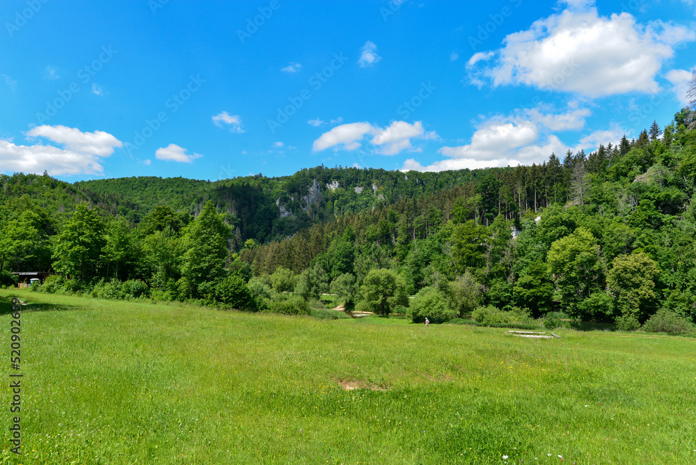 Naturpark Obere Donau bei Fridingen an der Donau Naturpark Obere Donau bei Fridingen an der Donau