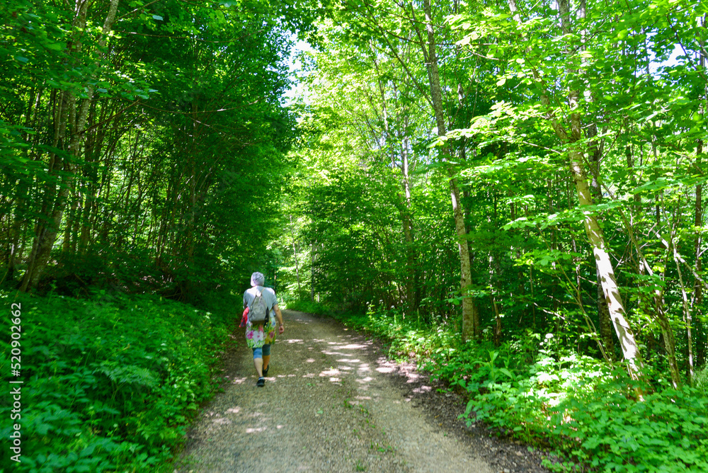 Wandern im Donautal bei Fridingen an der Donau, Baden-Württemberg Wandern im Donautal bei Fridingen an der Donau, Baden-Württemberg
