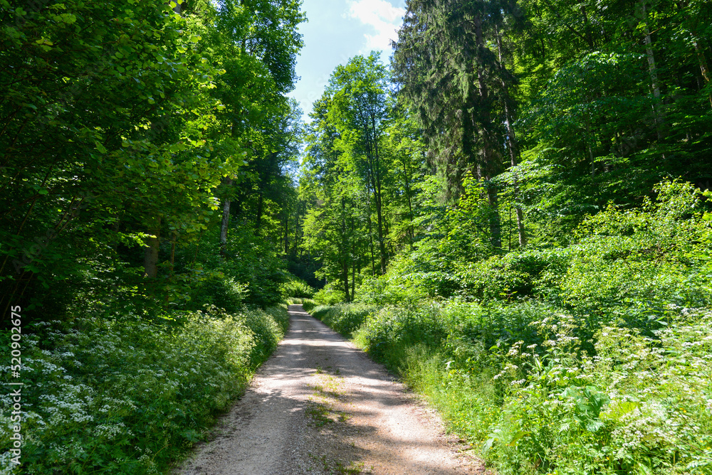 Wandern im Donautal bei Fridingen an der Donau, Baden-Württemberg Wandern im Donautal bei Fridingen an der Donau, Baden-Württemberg