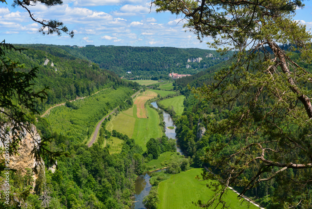 Obraz premium Blick vom Knopfmacherfelsen auf das Donautal