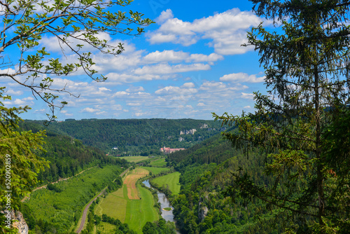 Blick vom Knopfmacherfelsen auf das Donautal