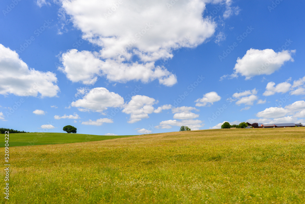 Obraz premium Nusplingen im Zollernalbkreis in Baden-Württemberg