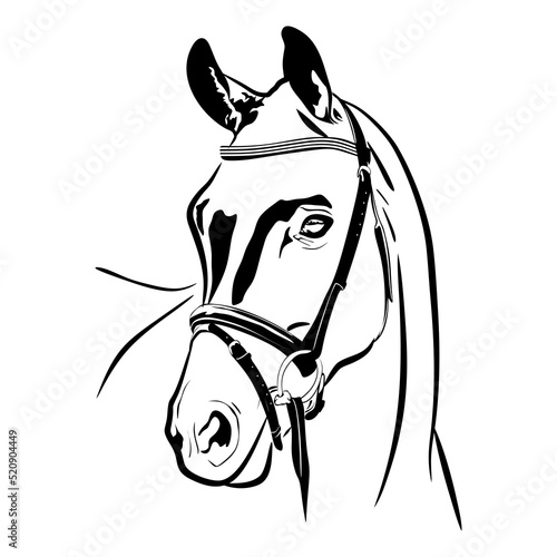 Horse head logo. Black and white vector illustration. Horse minimalistic symbol design. Concept for logo, postcard, banner, poster, flyer