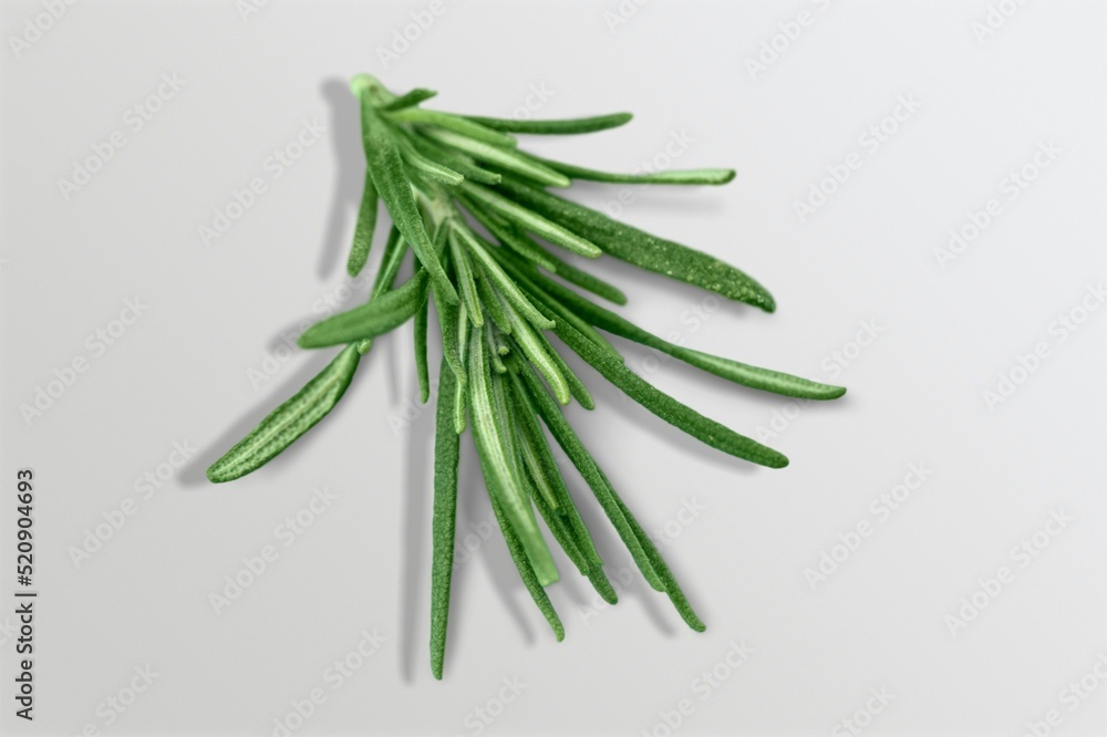 Fototapeta premium Rosemary twig set. Green herbs on the desk