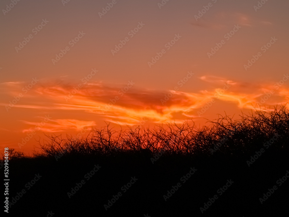 Intense typical African red sunset sky