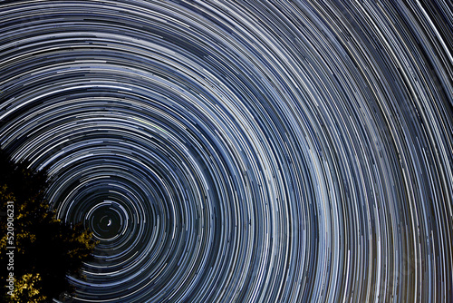Night sky background, sweeping curves of white and blue against a dark background. Star Trails circling the North Star Polaris, Lighted tree in the lower left corner.