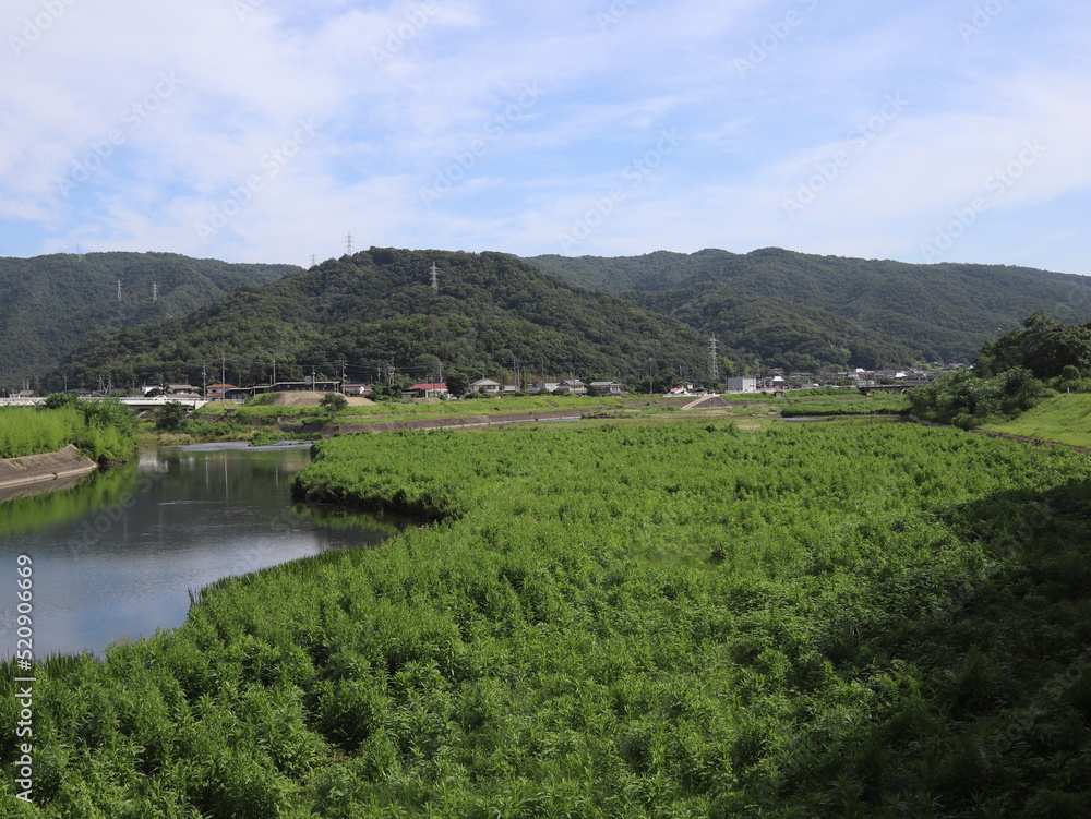 日本の川および草、湿地帯