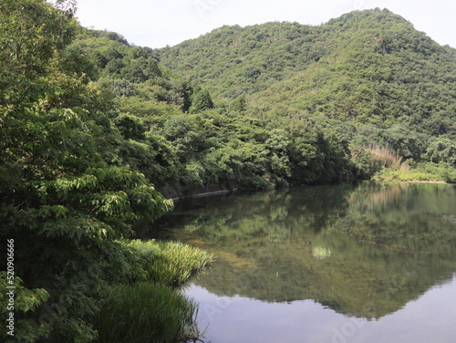日本の川および草、湿地帯 © 智子 丸山