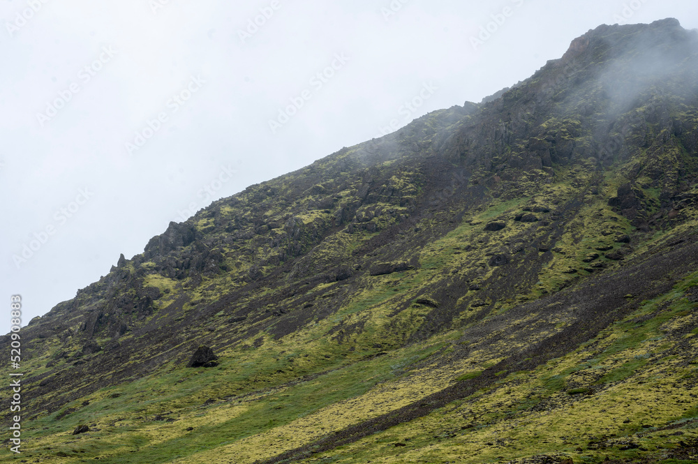 Naklejka premium landscape in summer