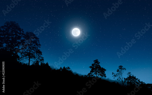 Dark night in forest with full moon