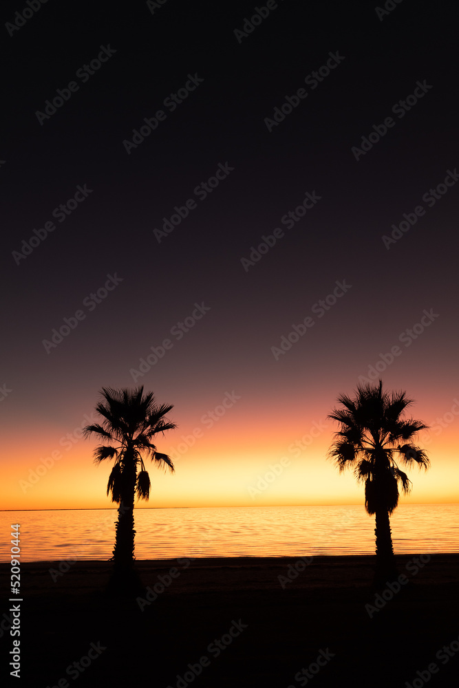 Sunset palm tree silhouettes,  Smoky Bay