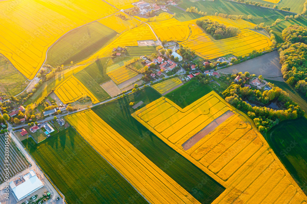 Fototapeta premium View from a height of green fields and trees, summer nature
