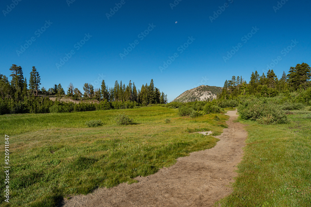 Hiking Trail in Mountain Meadow of California