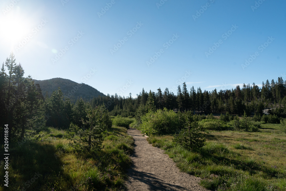 Walking path through the Sierra Nevada mountain range wilderness in Northern California.