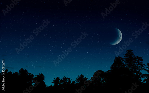 starry sky with the moon and silhouette of the jungle