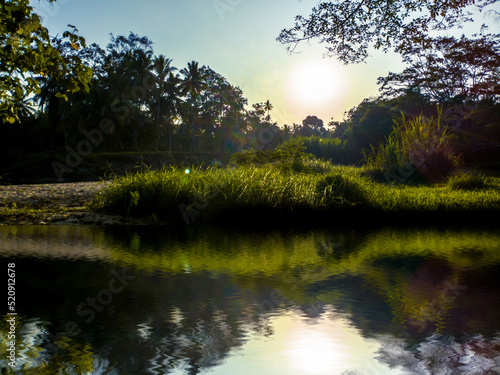 sunlight in the grass and trees in the lake