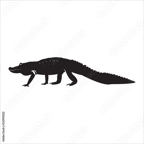 Alligator vector modern design illustration
